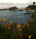 Laguna Beach view